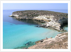 colFoto2